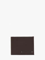 Portefeuille Danny Leder Arthur & aston Bruin danny 488