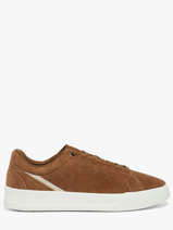 Sneakers Uit Leder Tommy hilfiger Bruin men 5880GVQ