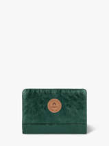Portefeuille Cabaia Groen accessoire M