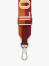 Longchamp Bandouli�re ombr�e Juwelen Veelkleurig-vue-porte