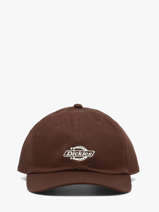 Pet Dickies Bruin accessoires DK0A4Z6N
