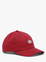 Pet Hardwick Dickies Rood accessoires DK0A4TKV-vue-porte