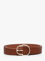 Riem Tommy hilfiger Bruin belt AW19145