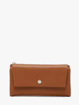 Portefeuille Met Portemonnee Grained Flora & co Bruin grained F5039