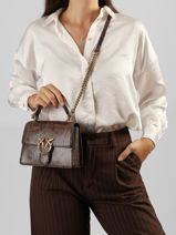 Cross Body Tas Love Bag Icon Leder Pinko Bruin love bag icon 71A3E5-vue-porte