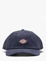 Pet Dickies Blauw accessoires DK0A4ZAY