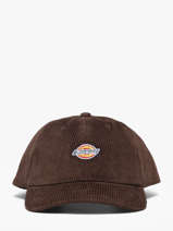 Pet Dickies Bruin accessoires DK0A4ZAY