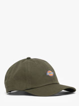 Pet Hardwick Dickies Groen accessoires DK0A4TKV-vue-porte
