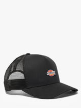 Pet Dickies Zwart accessoires DK0A4YV3-vue-porte
