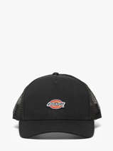 Pet Dickies Zwart accessoires DK0A4YV3