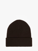 Muts Dickies Bruin accessoires DK0A4X7K-vue-porte