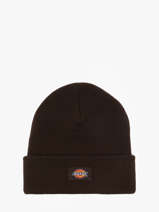Muts Dickies Bruin accessoires DK0A4X7K