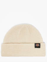 Muts Dickies Beige accessoires DK0A4XFD