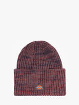 Muts Dickies Violet accessoires DK0A4Z3J