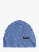 Muts Dickies Blauw accessoires DK0A4X7Y