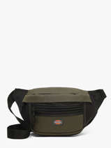 Heuptasje Dickies Groen bags DK0A4Y1U