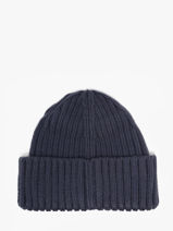 Muts Dickies Blauw accessoires DK0A4Z2O-vue-porte