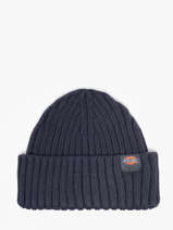 Muts Dickies Blauw accessoires DK0A4Z2O