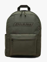 Rugzak Dickies Groen backpack DK0A8CD6