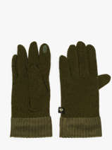 Handschoenen Met Ribfluwelen Afwerking Le voyage en panier Groen accessoires AHG001