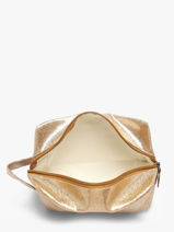 Ritsetui S Scintilette Le voyage en panier Goud accessoires S-vue-porte