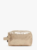 Etui Le voyage en panier Goud accessoires S