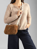 Cross Body Tas Winter Le voyage en panier Bruin winter AHP323-vue-porte