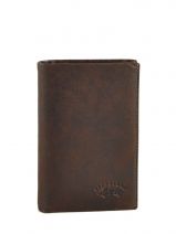 Portefeuille Leder Francinel Bruin bixby 69932