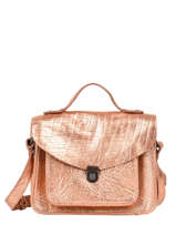 Cross Body Tas Vintage Leder Paul marius Goud vintage GEORGE