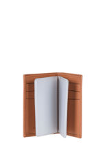 Kaarthouder Leder Hexagona Bruin confort 461007-vue-porte