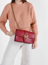 Cross Body Tas Classic Love Bag Icon Simply Leder Pinko love bag icon 1P22JH-vue-porte