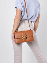 Cross Body Tas Classic Love Bag Icon Simply Leder Pinko Bruin love bag icon 1P22JH-vue-porte