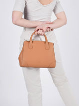 Handtas Small Naomie Leder Nathan baume Bruin victoria 19-vue-porte