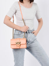 Cross Body Tas Mini Love Bag Icon Simply Leder Pinko Roze love bag icon 1P22JK-vue-porte