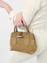 Longchamp Roseau soft Handtas Bruin-vue-porte
