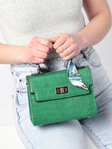 Cross Body Tas Croco Miniprix Groen croco HY5413-vue-porte