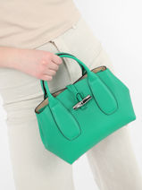 Longchamp Roseau box Handtas Groen-vue-porte