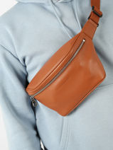 Longchamp Le foulonn Buideltasje Bruin-vue-porte
