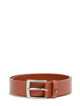 Riem Tommy hilfiger Bruin adan AM11227