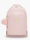blush metallic