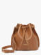 Camel in