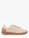 camel 01