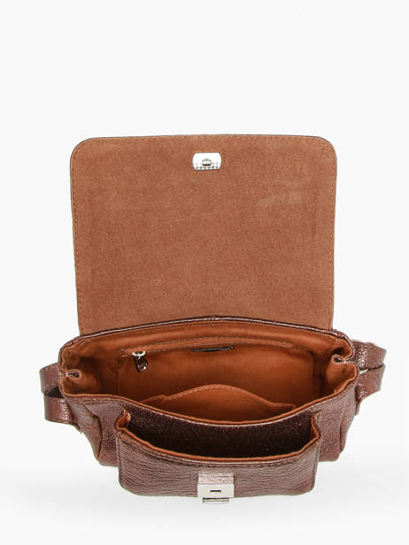Cross Body Tas Vintage Paul marius Goud vintage 355462 ander zicht 3