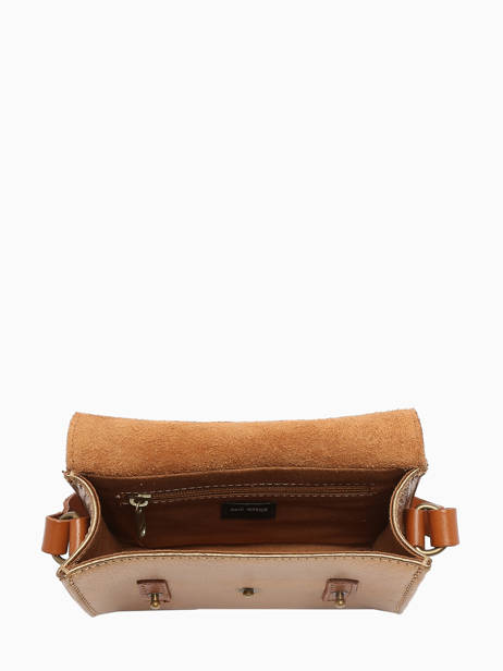 Cross Body Tas Mini Indispensable Leder Paul marius Goud vintage MINI ander zicht 3