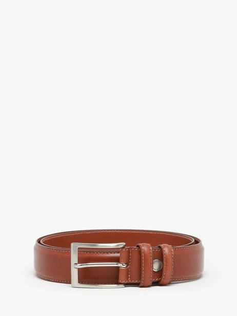 Riem Etrier Bruin bride 222543