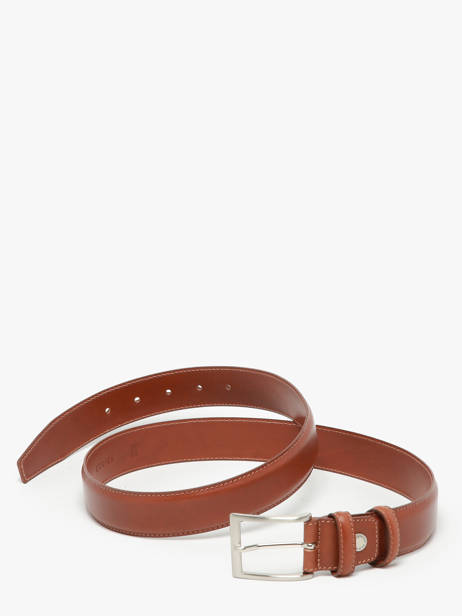 Riem Etrier Bruin bride 222543 ander zicht 2