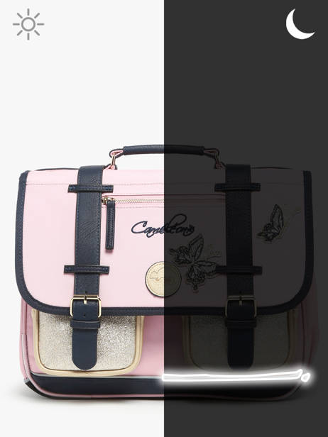 Boekentas 2 Compartimenten Cameleon Roze vintage family boulanger CA38 ander zicht 7