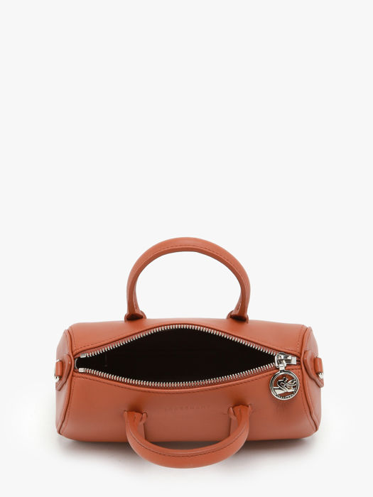 Longchamp Daylong Handtas Bruin