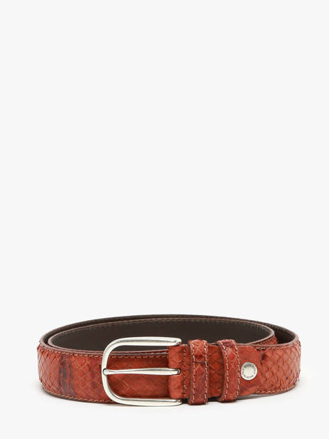 Riem Etrier Bruin bride EBRI711C