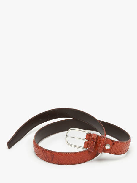 Riem Etrier Bruin bride EBRI711C ander zicht 3